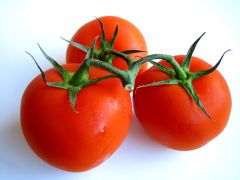 tomato
