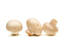 mushrooms-baby-food Can babies eat mushrooms