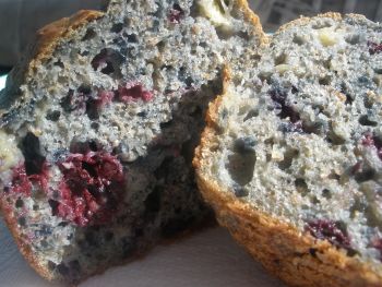 blueberry-muffins Blueberry muffins