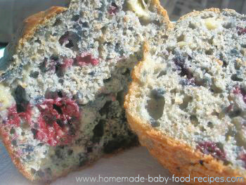 Blueberry Muffin Recipes For Toddlers