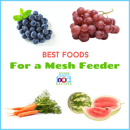 Best Foods For A Mesh Feeder The Homemade Baby Food Recipes Blog