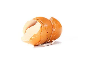egg shell tip