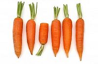 Carrots for baby food