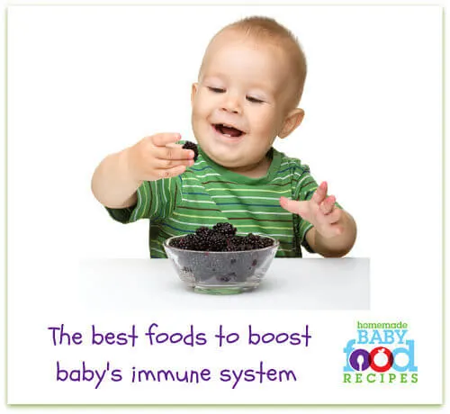 Foods to strengthen baby's immune system