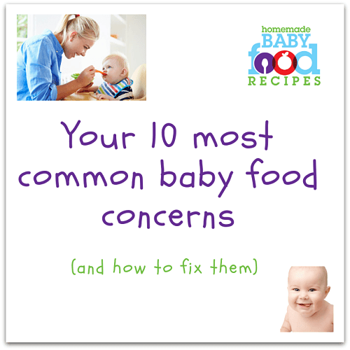Top ten baby food concerns