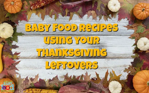 Baby food recipes using your Thanksgiving leftovers