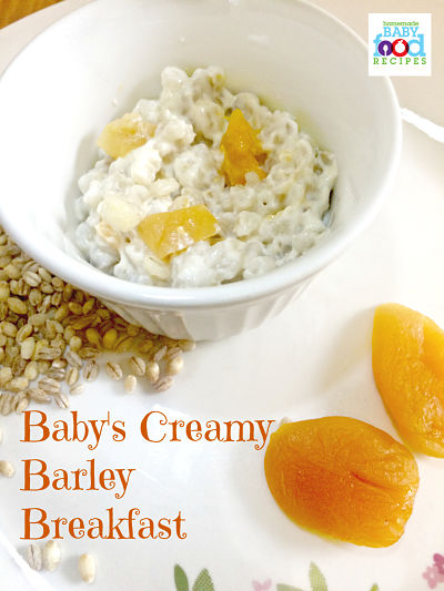 Baby's Creamy Barley Breakfast Recipe - The Homemade Baby ...