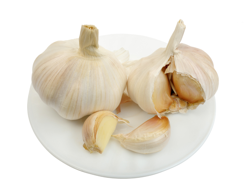 Garlic for baby food