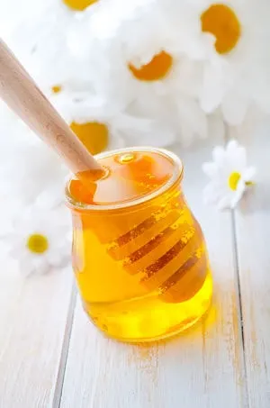 Can babies eat honey