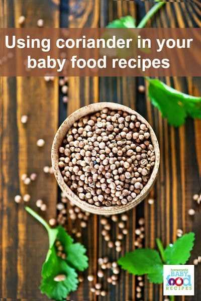 Using coriander in your baby food recipes