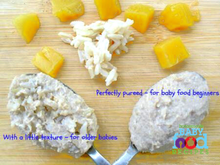 Baby S Chicken Mango And Brown Rice Puree The Homemade Baby Food Recipes Blog