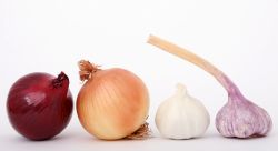 Onion and garlic baby food