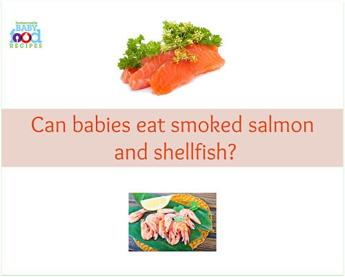 Can babies eat smoked salmon and shellfish