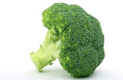 broccoli baby food recipes