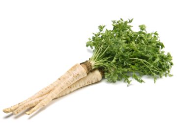 Parsley root baby food