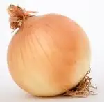 Onion baby food
