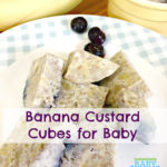 banana custard baby food