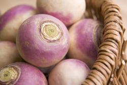 Turnip baby food recipes