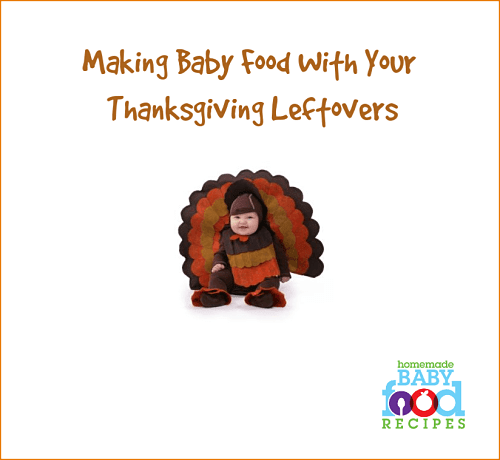 Making baby food with your Thanksgiving leftovers