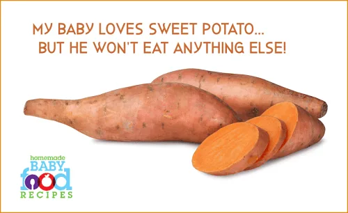 Baby will only eat sweet potato