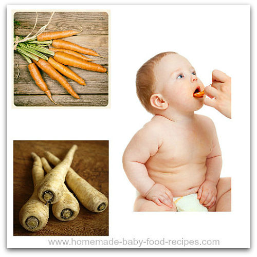 Parsnip and carrot puree for baby