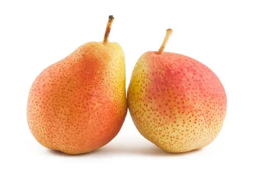 Do I Need to Cook Pears For My Baby?