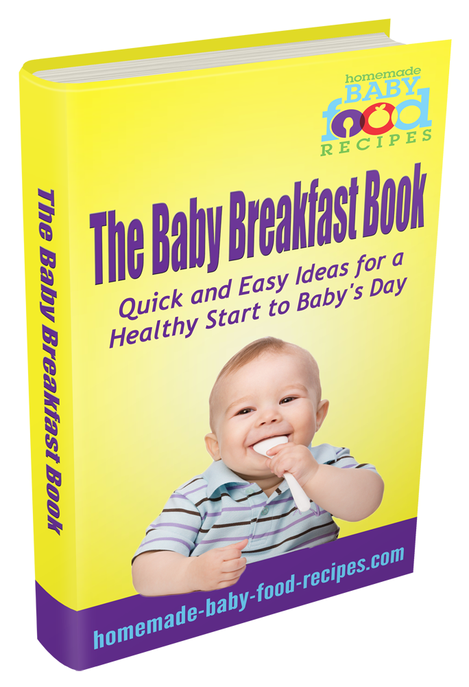 The Baby Breakfast Book