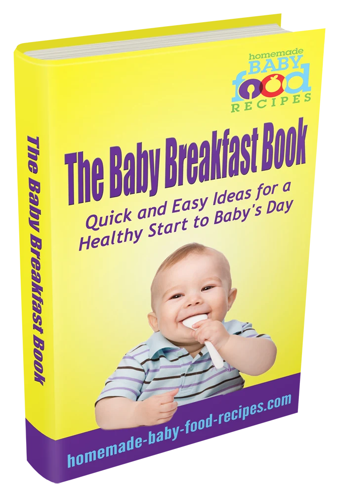 The Baby Breakfast Book
