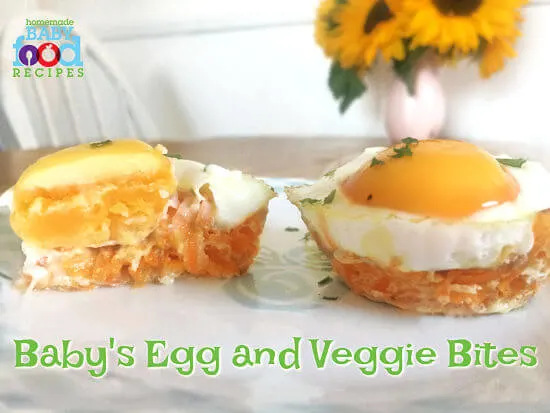 Baby's egg and veggie bites