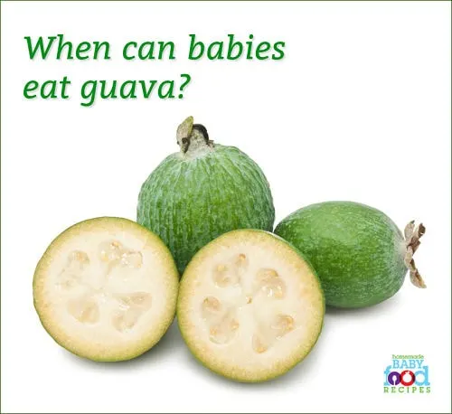 When can babies eat guava