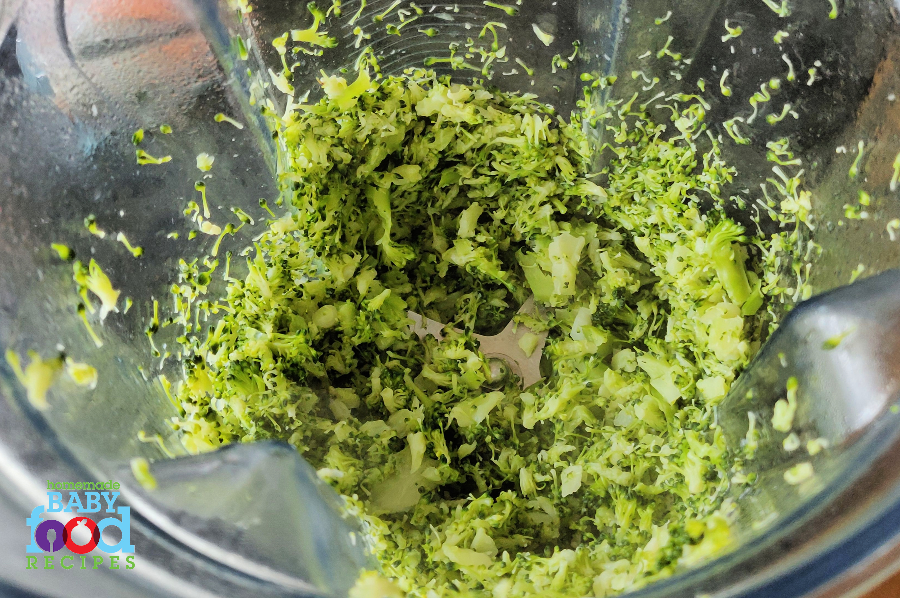 Broccoli pulsed in a blender is just the right texture for baby's broccoli nuggets