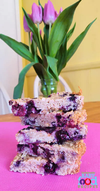 Blueberry bars for baby