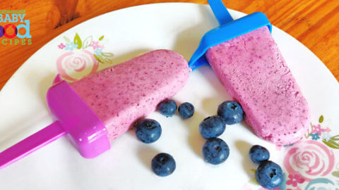 Homemade ice sale pops for babies