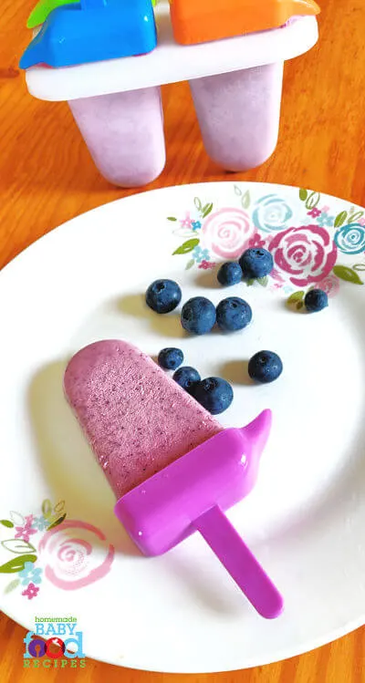 A blueberry popsicle with fresh blueberries