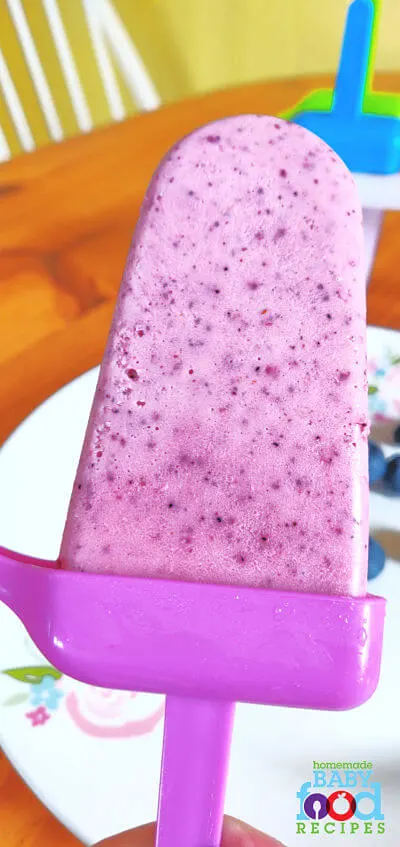 Healthy blueberry popsicle for baby